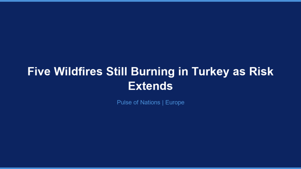 Five Wildfires Still Burning in Turkey as Risk Extends