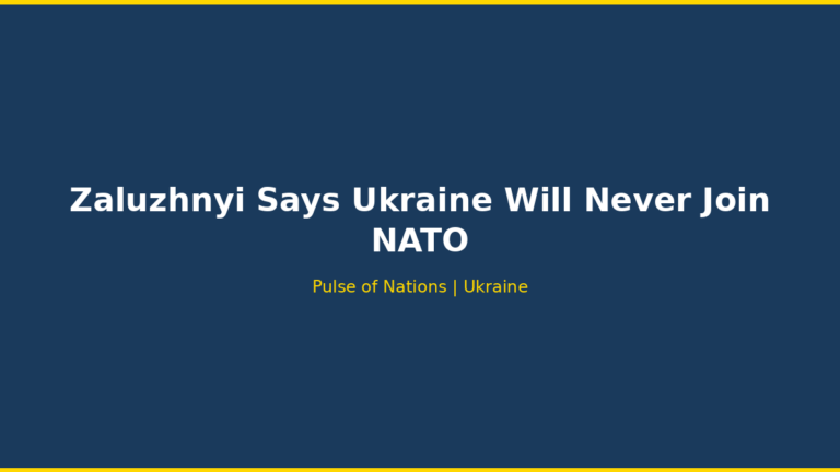 Zaluzhnyi Says Ukraine Will Never Join NATO