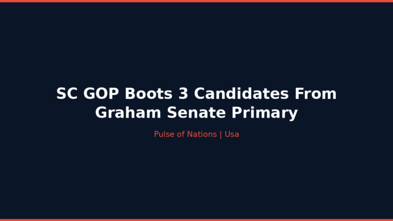 SC GOP Boots 3 Candidates From Graham Senate Primary
