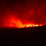 Belgium Wildfire Encircled After Largest Blaze in a Century