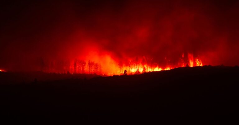 Belgium Wildfire Encircled After Largest Blaze in a Century