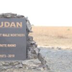 RSF Seizes Blue Nile Towns in Cross-Border Attack From Ethiopia