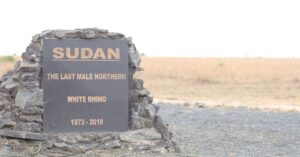 Sudan Army Integrates 300 RSF Defectors as Burhan Expects Sanctions
