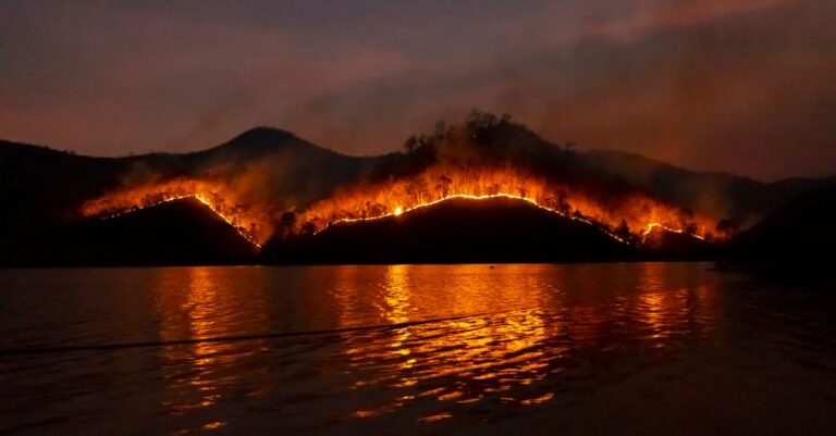 Indonesia Arrests 72 as Wildfires Scorch 285K Hectares