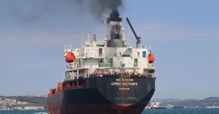 OPEC, IEA Slash 2026 Demand Forecasts as Hormuz Disruption Deepens