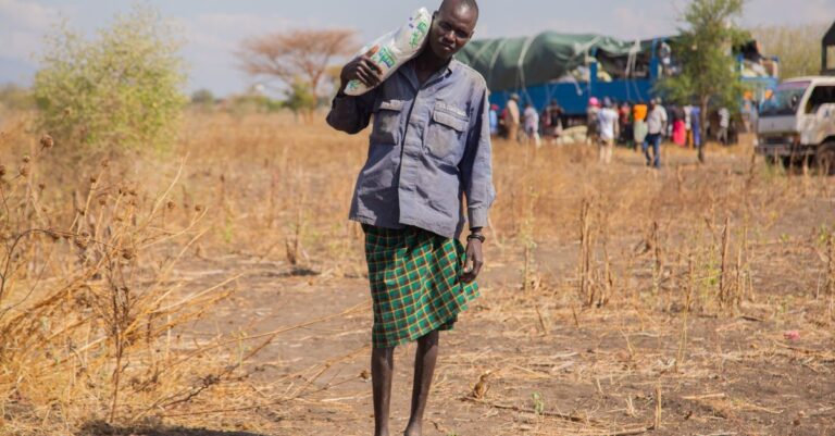 Two UN Peacekeepers Killed in Ambush in South Sudan
