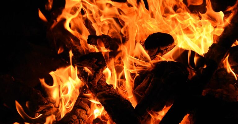 Algeria Wildfire Deaths Surge to 73 as National Mourning Declared