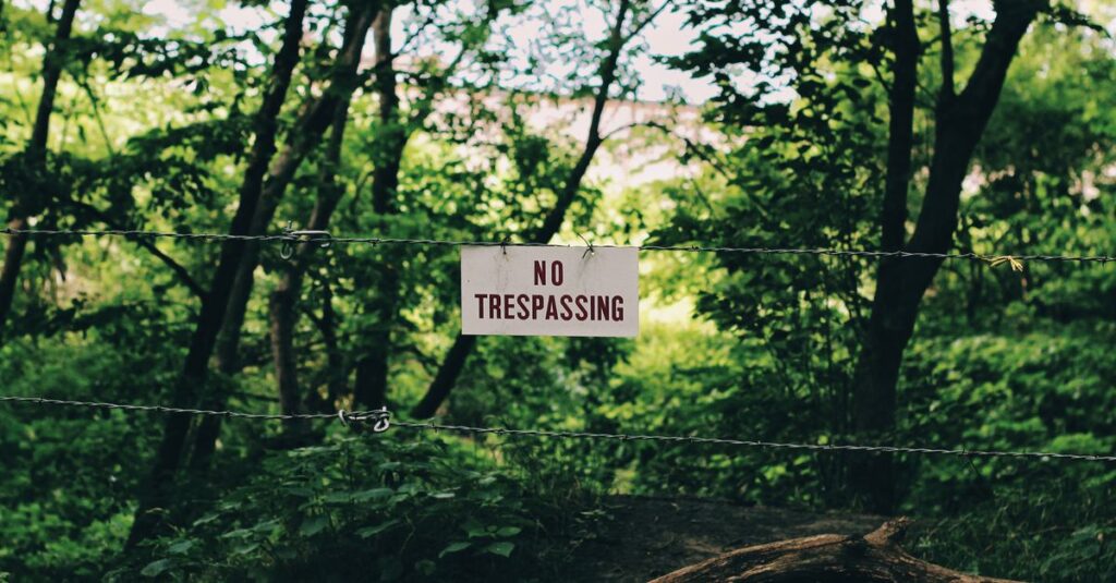 Pexels – Adam Sage