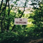 US Forest Service Moves to Strip Protections from 44M Acres