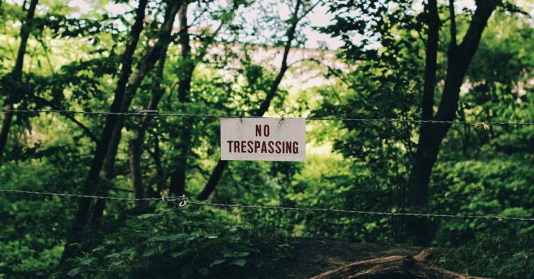 US Forest Service Moves to Strip Protections from 44M Acres